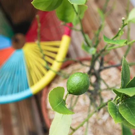 Sur - Maison Familiale Vakantiehuis