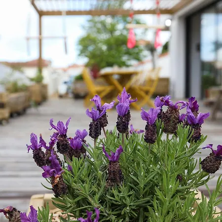 La Bulle - Maison Classée 4 étoiles *