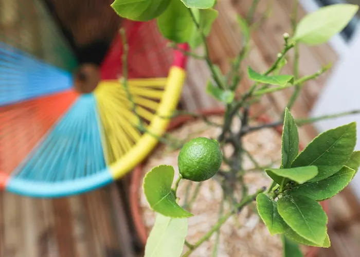 Sur - Maison Familiale 度假居