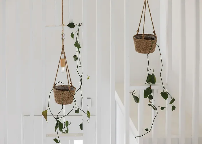 Vakantiehuis Sur - Maison Familiale